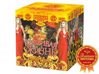 Красивая жизнь Фейерверк купить в Алдане | aldan.salutsklad.ru