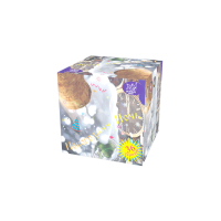 Новогодняя ночь Салют купить в Алдане | aldan.salutsklad.ru