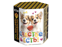 Счастье есть! Салют купить в Алдане | aldan.salutsklad.ru