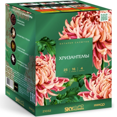 Хризантемы Фейерверк купить в Алдане | aldan.salutsklad.ru