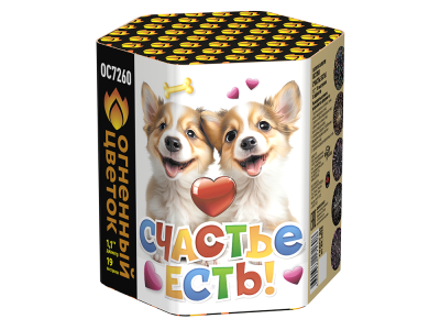 Счастье есть! Салют купить в Алдане | aldan.salutsklad.ru